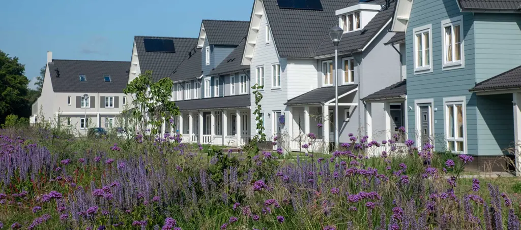 Woonwijk met zonnepanelen op de daken en een bloemenveld op de voorgrond, Tilburg