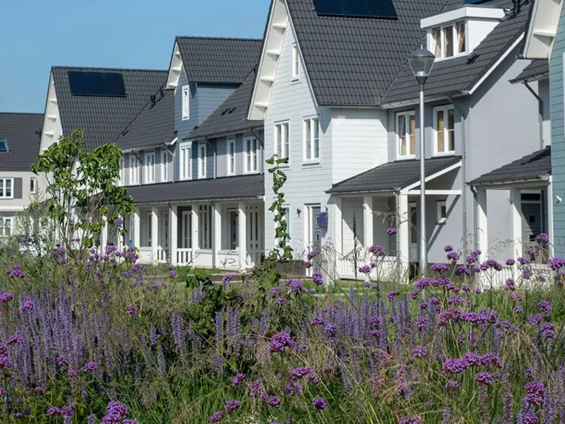 Woonwijk met zonnepanelen op de daken en een bloemenveld op de voorgrond, Tilburg